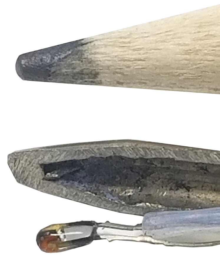 Cutaway of RTD probe.